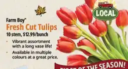 Farm Boy Farm Boy Fresh Cut Tulips offer