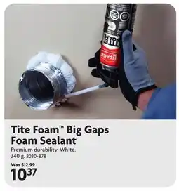 Home Hardware Tite Foam Big Gaps Foam Sealant offer