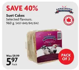 Home Hardware Suet Cakes offer