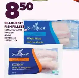 Loblaws SEAQUEST FISH FILLETS offer