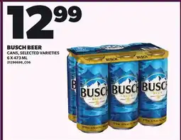Loblaws BUSCH BEER offer