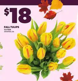 Loblaws FALL TULIPS, 15 STEM offer