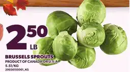 Loblaws BRUSSELS SPROUTS offer
