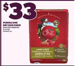 Loblaws PURINA ONE DRY DOG FOOD offer