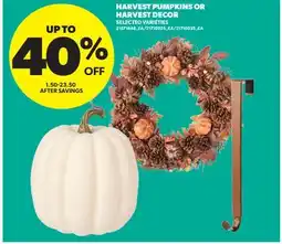 Real Canadian Superstore HARVEST PUMPKINS OR HARVEST DECOR offer