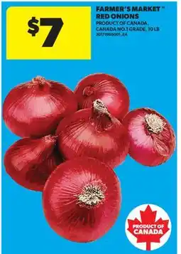 Real Canadian Superstore FARMER'S MARKET RED ONIONS, 10 LB offer