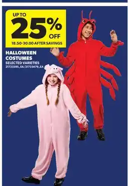 Real Canadian Superstore HALLOWEEN COSTUMES offer