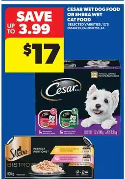 Real Canadian Superstore CESAR WET DOG FOOD OR SHEBA WET CAT FOOD, 12'S offer
