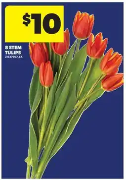 Real Canadian Superstore 8 STEM TULIPS offer