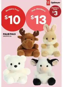 Real Canadian Superstore PALM PALS offer