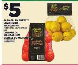 Independent City Market FARMER'S MARKET LEMONS OR MANDARINS, 2 LB offer