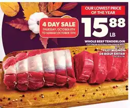 Independent City Market WHOLE BEEF TENDERLOIN, 53 OZ (4.5 LB) offer