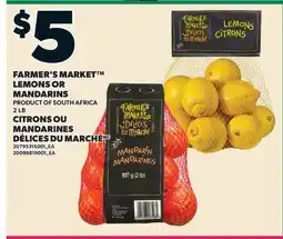 Valu-mart CITRONS OU MANDARINES DÉLICES DU MARCHÉ, 2 LB offer