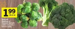 Foodland Broccoli Bunches or Brussels Sprouts - Foodland Harvest offer