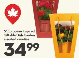 Longo's 6 European Inspired Giftable Dish Garden offer