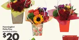 Longo's Hummingbird Petite Posy offer