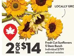 Longo's Fresh Cut Sunflowers 5 Stem Bunch offer