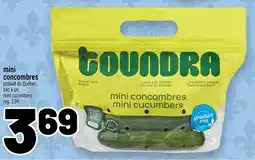 Metro Toundra mini cucumbers offer