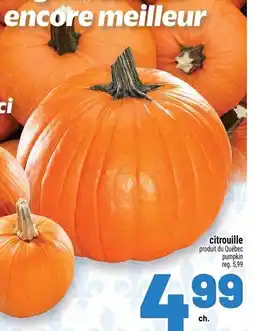 Metro citrouille offer