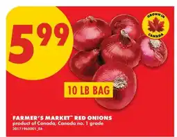 No Frills FARMER'S MARKET RED ONIONS, 10 LB BAG offer