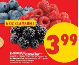 No Frills BLACKBERRIES, RASPBERRIES OR BLUEBERRIES, 6 OZ CLAMSHELL offer