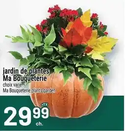 Metro Ma Bouqueterie plants garden offer
