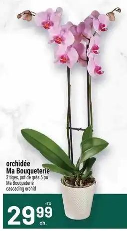 Metro Ma Bouqueterie cascading orchid offer