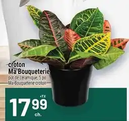 Metro Ma Bouqueterie croton offer