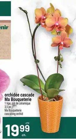 Metro Ma Bouqueterie orchidée cascade offer