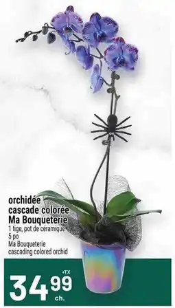 Metro Ma Bouqueterie cascading colored orchid offer