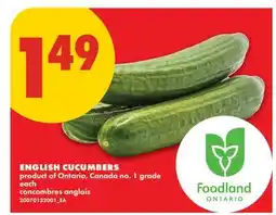 No Frills ENGLISH CUCUMBERS offer