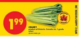 No Frills CELERY offer
