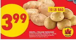 No Frills WHITE OR YELLOW POTATOES, 10 LB BAG offer