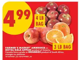 No Frills FARMER'S MARKET AMBROSIA or ROYAL GALA APPLES or ORANGES, 4 LB BAG offer