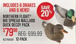 Cabela's NORTHERN FLIGHT BIG SPREAD MALLARD DUCK DECOY PACK offer