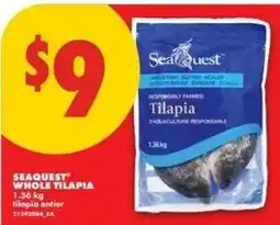 No Frills Seaquest whole tilapia offer