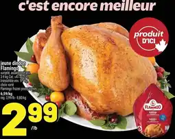 Metro Flamingo young turkey offer