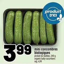 Metro mini concombres biologiques offer