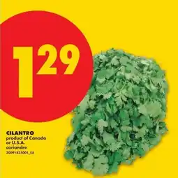 No Frills Cilantro offer