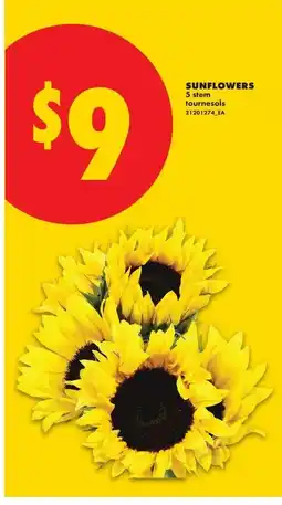 No Frills Sunflowers offer