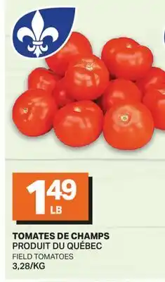 L'Intermarché FIELD TOMATOES | FIELD TOMATOES offer