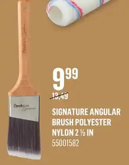 Canac Signature Angular Brush Polyester Nylon 21/2in offer