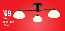 Canac Ceiling Mount offer