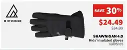 Sports Experts RIPZONE SHAWNIGAN 4.0 Kids' insulated gloves offer