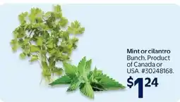 Walmart Mint or cilantro bunch offer