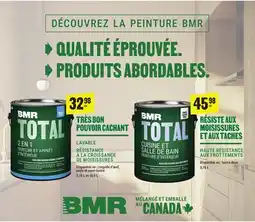 BMR Peinture BMR offer