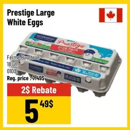 Mayrand Prestige Large White Eggs offer