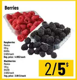 Mayrand Berries offer