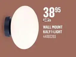 Canac Wall Mount offer