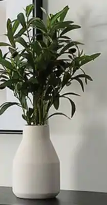 Canac Artificial Olive Plant with White Ceramic Pot offer